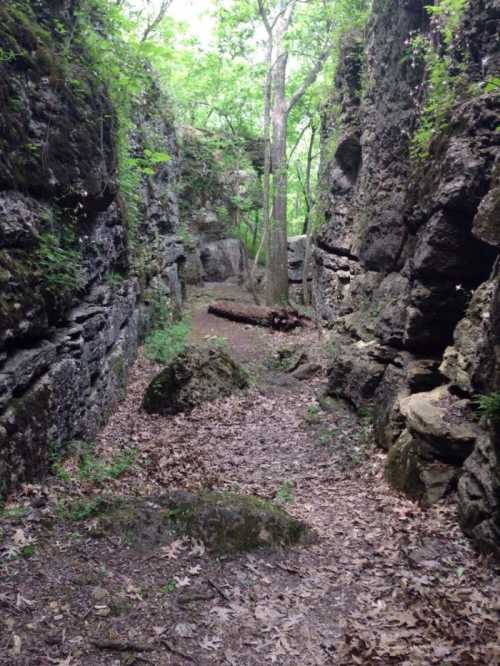 A narrow, rocky path surrounded by tall, green trees and moss-covered stone walls in a forested area.