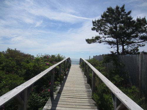A wooden walkway leads through greenery towards the ocean under a blue sky with scattered clouds.