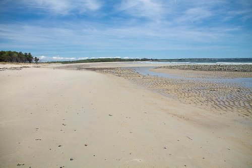 A serene beach scene with soft sand, gentle waves, and a clear blue sky, bordered by trees in the distance.