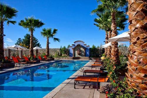 A serene pool area surrounded by palm trees, lounge chairs, and vibrant landscaping under a clear blue sky.