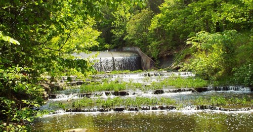 A serene waterfall cascades over rocks, surrounded by lush green trees and vibrant foliage.