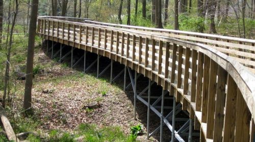 A wooden bridge curves over a small creek, surrounded by trees and greenery in a peaceful forest setting.