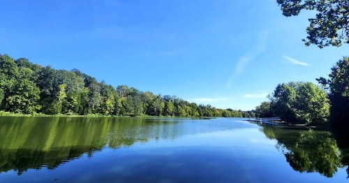 A serene lake surrounded by lush green trees under a clear blue sky, reflecting the landscape on the water's surface.