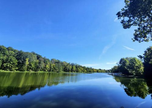 A serene lake surrounded by lush green trees under a clear blue sky, reflecting the landscape in the water.