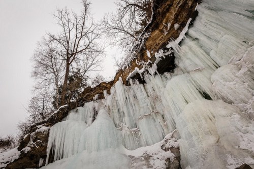 Icicles hang from a rocky cliff, surrounded by bare trees and a snowy landscape under a gray sky.
