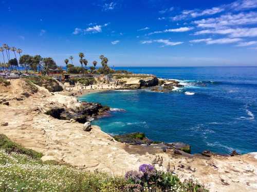 Scenic coastal view with rocky cliffs, clear blue water, and palm trees under a bright sky.