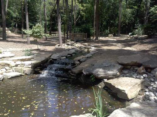 A serene forest scene featuring a small waterfall flowing into a pond, surrounded by rocks and trees.