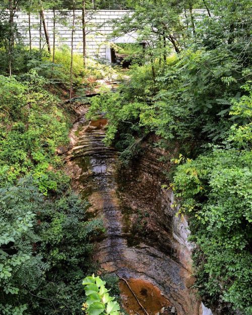 A narrow, winding stream flows through a lush, green landscape with dense vegetation on either side.