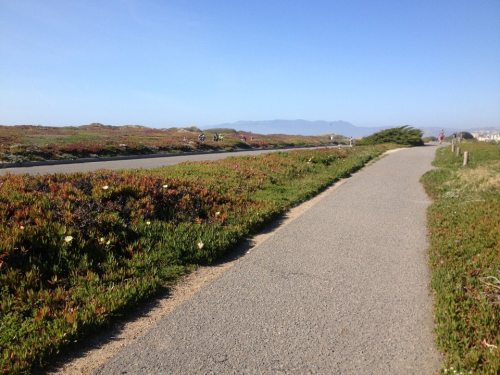 A paved path alongside lush greenery and low shrubs, with distant mountains under a clear blue sky.