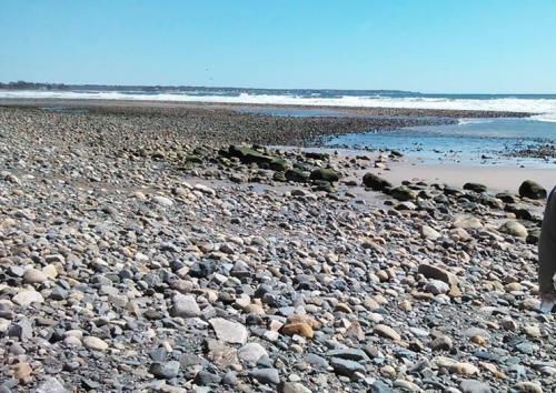 A rocky beach with waves in the background and a clear blue sky.