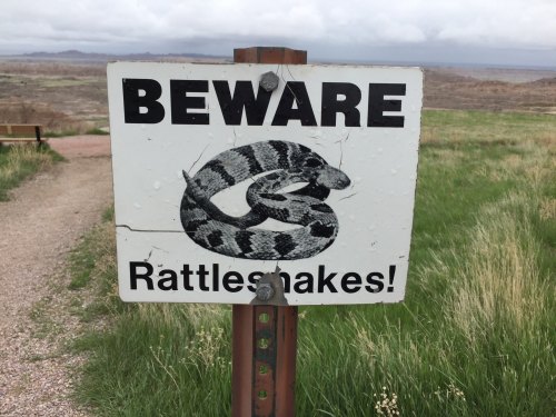 Sign warning of rattlesnakes, featuring an illustration of a coiled snake, set against a grassy landscape.