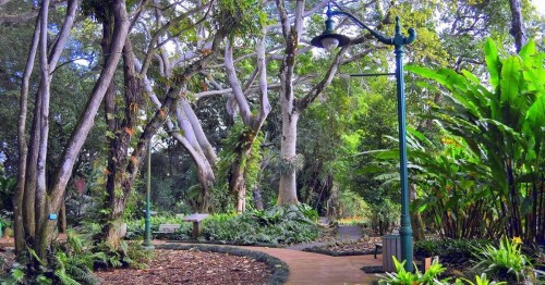 A serene garden path surrounded by lush greenery and tall trees, with a lamp post illuminating the area.