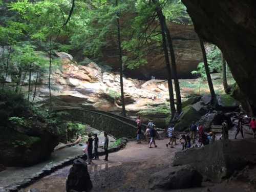 A lush green forest with a rocky landscape, featuring a small bridge and people exploring the area.