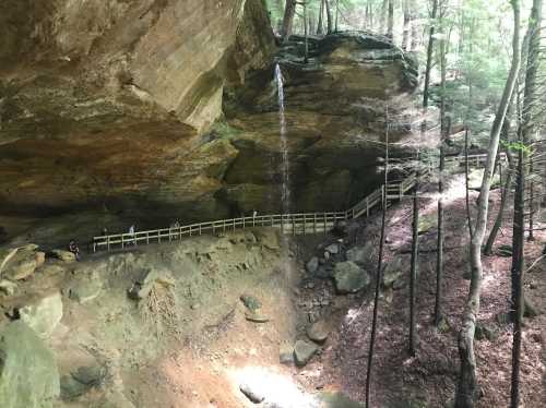 A serene forest scene featuring a rocky cliff, a small waterfall, and a wooden path winding through the trees.