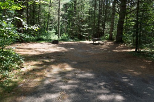 A clearing in a forest with a picnic table and fire pit, surrounded by trees and dappled sunlight.