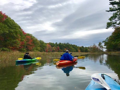 Three kayakers paddle on a calm river surrounded by trees with autumn foliage under a cloudy sky.