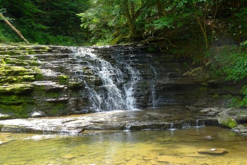A serene waterfall cascading over moss-covered rocks into a calm pool, surrounded by lush green trees.