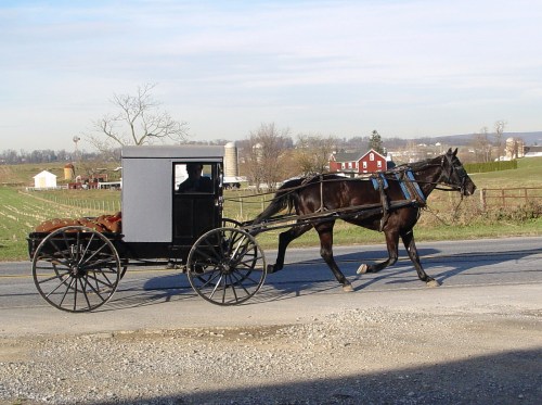 A horse-drawn carriage travels along a rural road, with farmland and a red barn in the background.