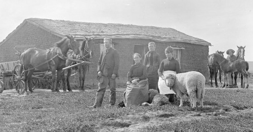 A historical black-and-white photo of a family with horses and sheep outside a rustic home.