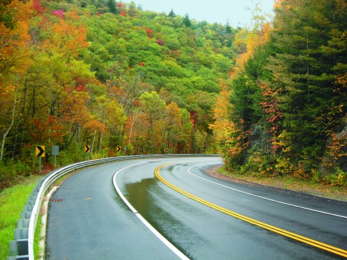 A winding road through vibrant autumn foliage, with green and orange trees lining the route.
