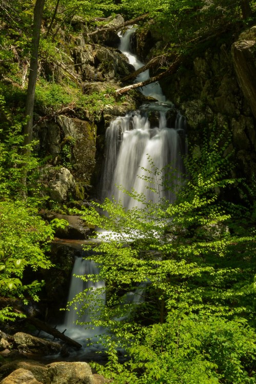 A serene waterfall cascading down rocky terrain, surrounded by lush green foliage and trees.