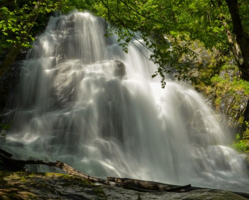 A serene waterfall cascades over rocks, surrounded by lush green foliage and dappled sunlight.