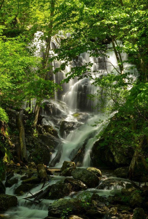 A serene waterfall cascades through lush green trees and rocks, creating a tranquil natural scene.