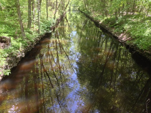A serene, tree-lined canal reflecting greenery and blue sky, surrounded by lush foliage.