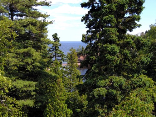 A scenic view of a lake framed by lush green trees under a clear blue sky.
