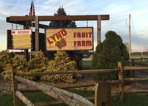Sign for Lynd Fruit Farm with a wooden structure, surrounded by greenery and a flag in the background.
