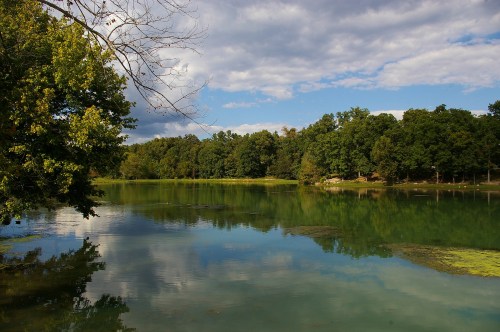 A serene lake surrounded by lush green trees under a partly cloudy sky, reflecting the landscape in calm waters.