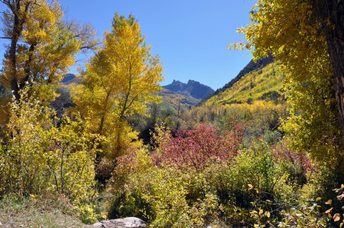 A vibrant autumn landscape with golden and red foliage, mountains in the background under a clear blue sky.