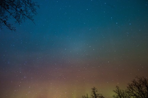 A night sky filled with stars, featuring a gradient of colors from blue to orange, with silhouetted trees at the bottom.