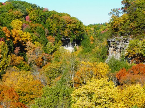 A vibrant autumn landscape featuring colorful trees and rocky cliffs under a clear blue sky.