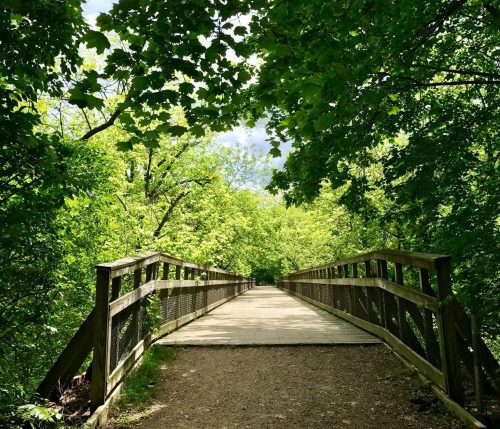 A wooden bridge surrounded by lush green trees and foliage, leading into a serene natural path.