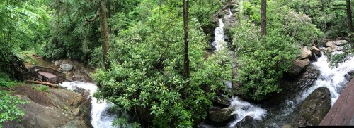 A lush green landscape featuring a flowing stream and rocky terrain, with a wooden platform nestled among the trees.