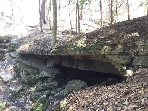 A rocky overhang in a wooded area, with trees and fallen leaves surrounding the stone formation.