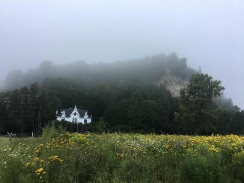 A white house surrounded by trees and wildflowers, with a foggy hill rising in the background.