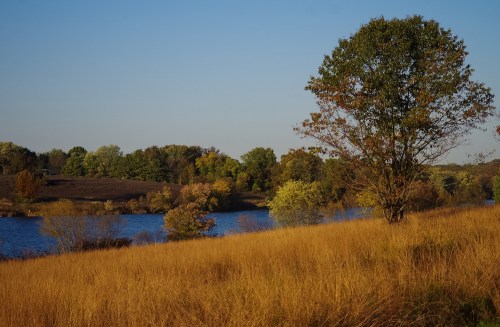 A serene landscape featuring a grassy field, a calm lake, and trees with autumn foliage under a clear blue sky.