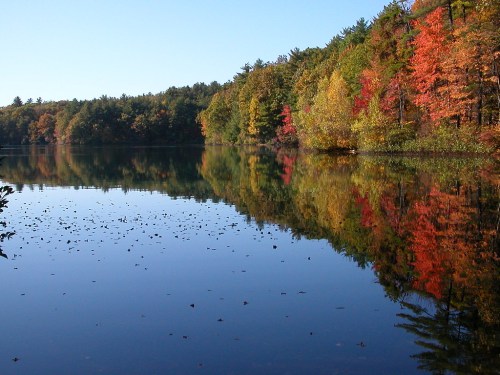 A serene lake reflecting vibrant autumn foliage and clear blue skies, surrounded by trees in shades of red, orange, and green.