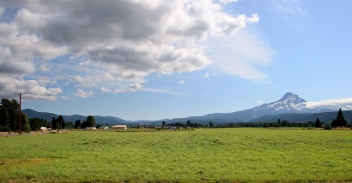 A wide green field with a mountain in the background under a partly cloudy sky.