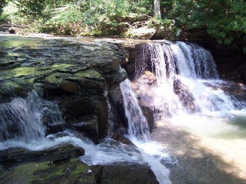 A serene waterfall cascading over rocky ledges into a clear pool, surrounded by lush green foliage.