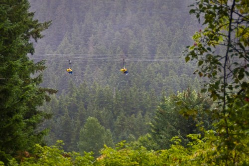 Two zipliners glide through a misty forest, surrounded by tall green trees and a serene, natural landscape.