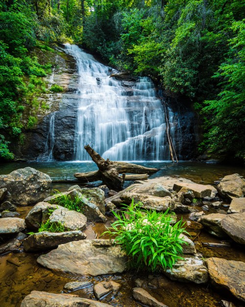 A serene waterfall cascades over rocks, surrounded by lush greenery and a calm pool at its base.