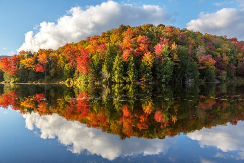 Vibrant autumn foliage reflects on a calm lake under a blue sky with fluffy clouds.