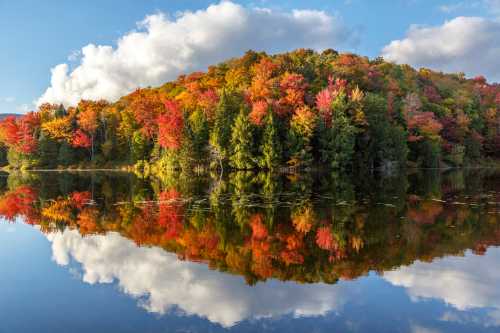 Vibrant autumn foliage reflects on a calm lake under a blue sky with fluffy clouds.