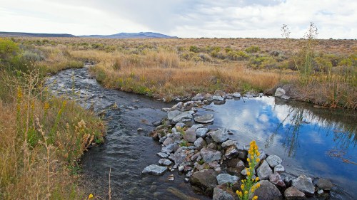 A serene landscape featuring a winding stream, rocky pool, and grassy fields under a cloudy sky.