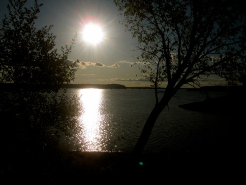 Silhouette of trees by a shimmering lake at sunset, with a bright sun and clouds in the sky.