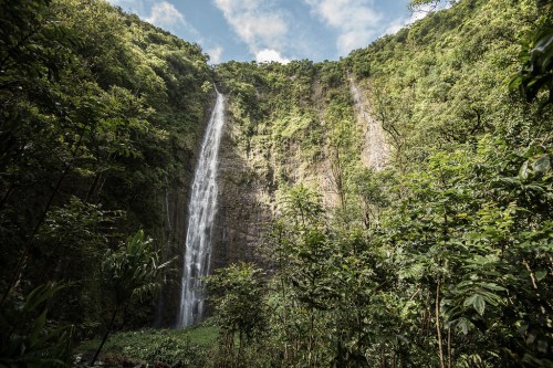 A tall waterfall cascades down a rocky cliff, surrounded by lush green foliage and trees under a partly cloudy sky.