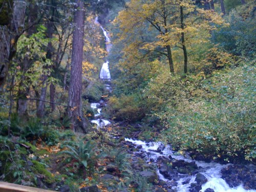 A serene forest scene with a flowing stream and a waterfall, surrounded by vibrant autumn foliage.